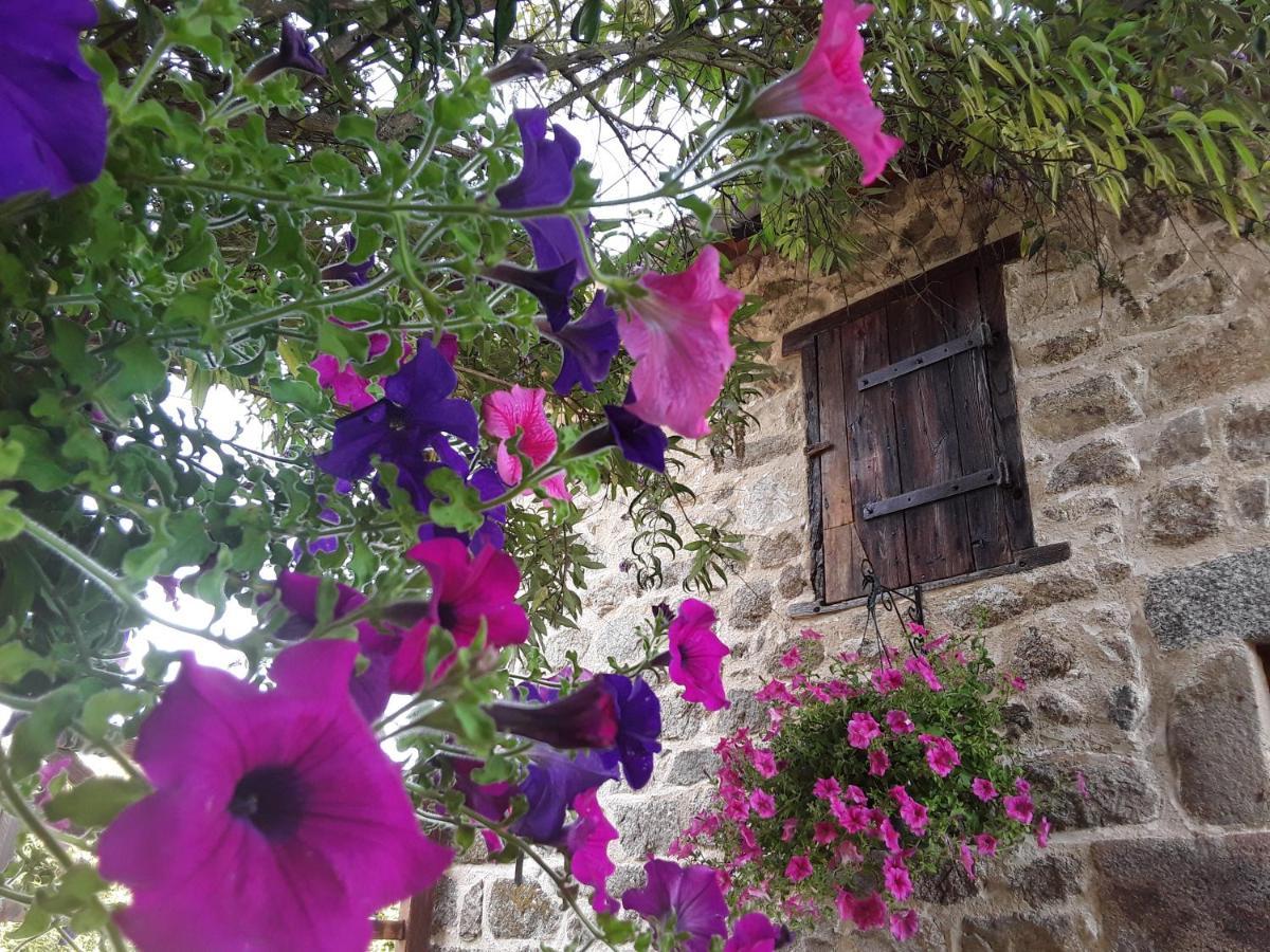 La Belle Ame Bed & Breakfast Saint-Priest-des-Champs Exterior photo